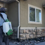 pest control