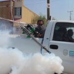 pest control