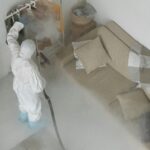 pest control