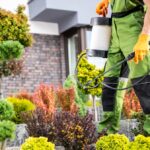 Pest Control Aurora IL: What Are the Hardest Pests to Get Rid Of?
