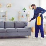 Why Regular Pest Control in Aurora Is Essential for Protection