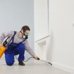 How Termite Pest Control Treatments Work to Safeguard Aurora Properties