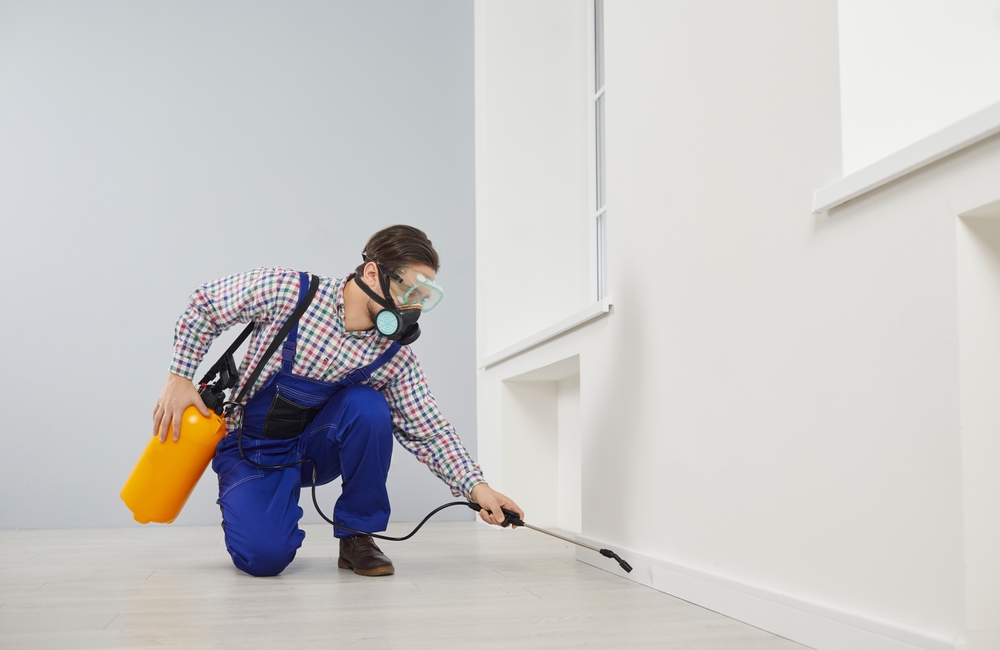 How Termite Pest Control Treatments Work to Safeguard Aurora Properties