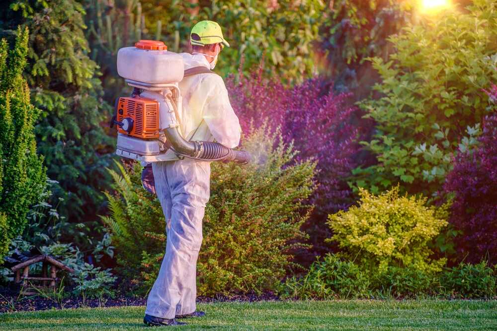 What Makes Local Pest Control in Aurora More Effective for Homeowners