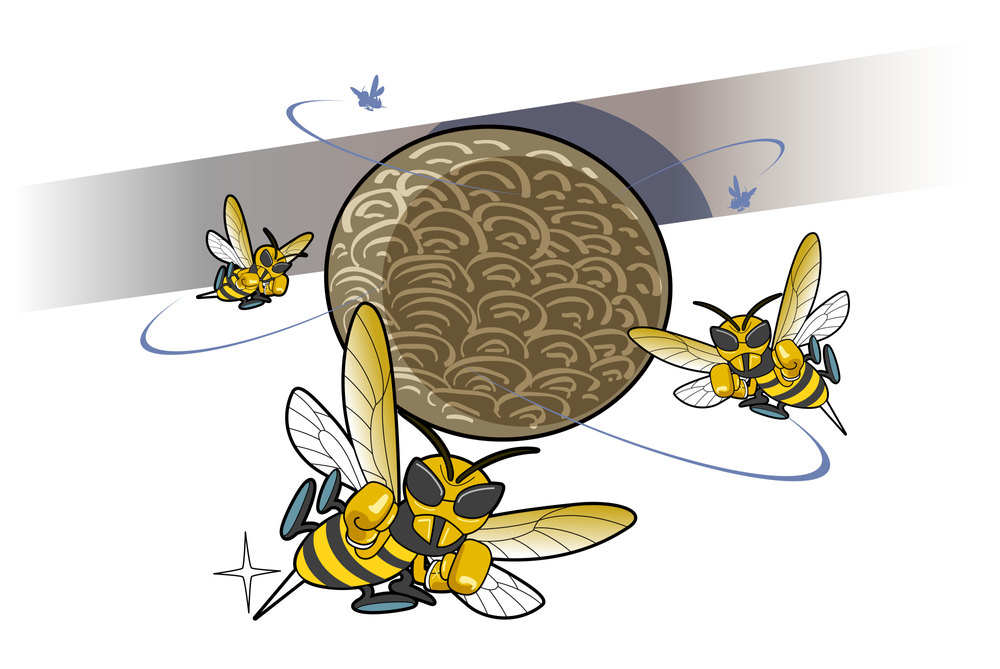 5 Warning Signs You Need a Bee Exterminator Immediately