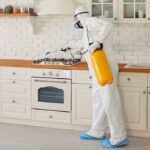 Cockroach Killer That Actually Work: Aurora Pest Experts Solution