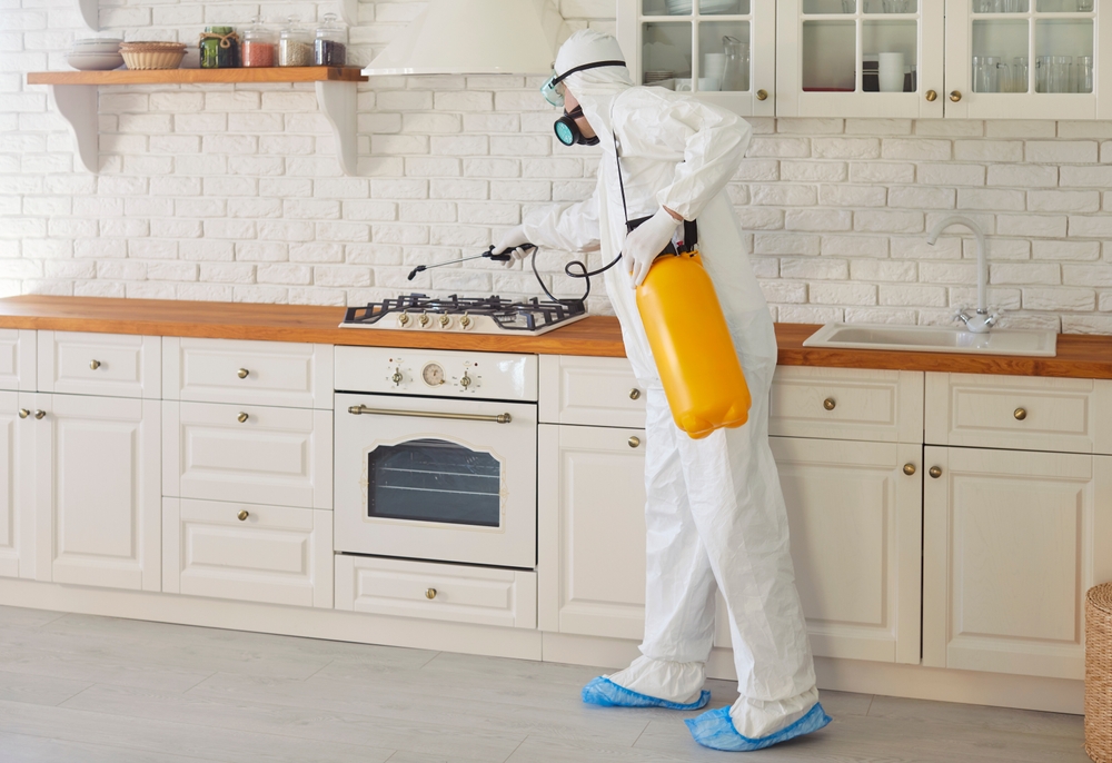 Cockroach Killer That Actually Work: Aurora Pest Experts Solution