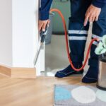 How Pest Control Professionals Eliminate Bed Bugs and Termites
