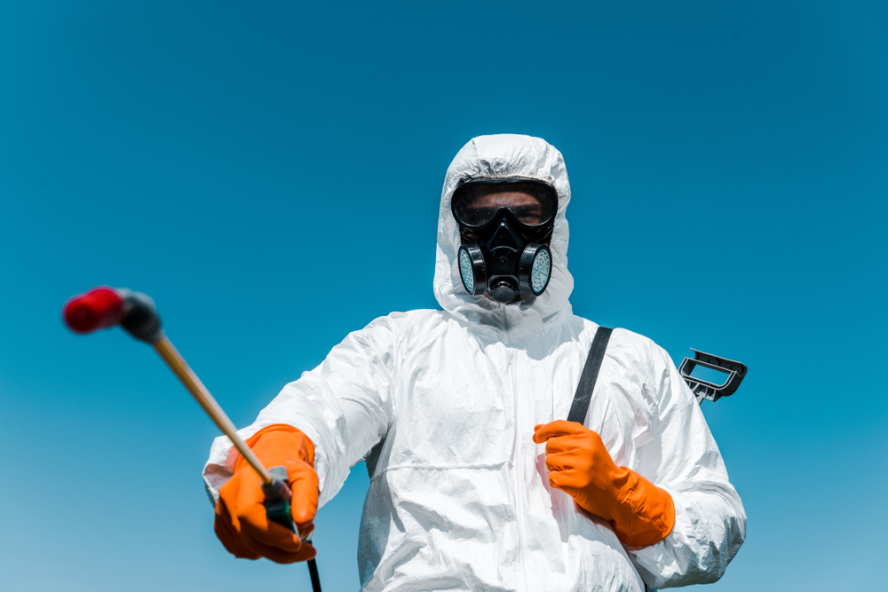 How an Exterminator Can Protect Your Home Year-Round