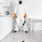 Effective Rat Pest Control Tips for Aurora Homeowners