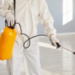 How Often Should You Schedule a Termite Inspection in Aurora