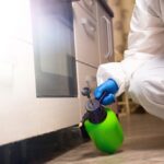 How to Get Rid of Carpenter Ants: Effective Pest-Free Solutions