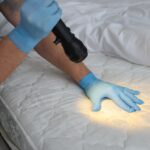 Local Exterminators for Bed Bugs: Complete Homeowner’s Guide