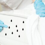 Step-by-Step Bed Bug Treatment for Homes in Aurora