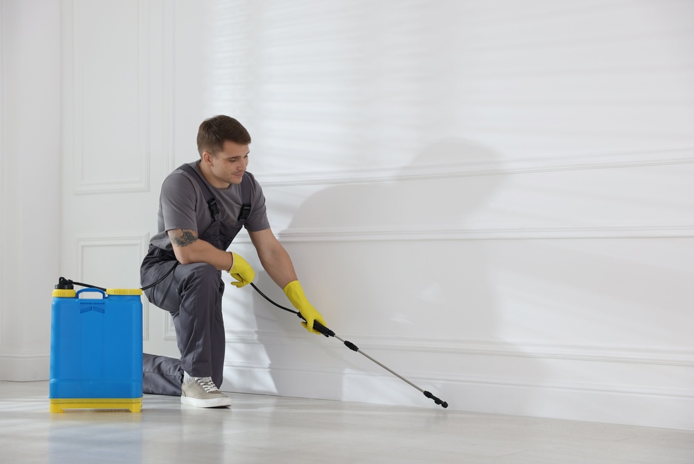 Top Mosquito Treatment for Yard to Get Rid of Mosquitoes