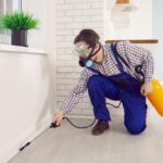 What Does an Ant Exterminator Do