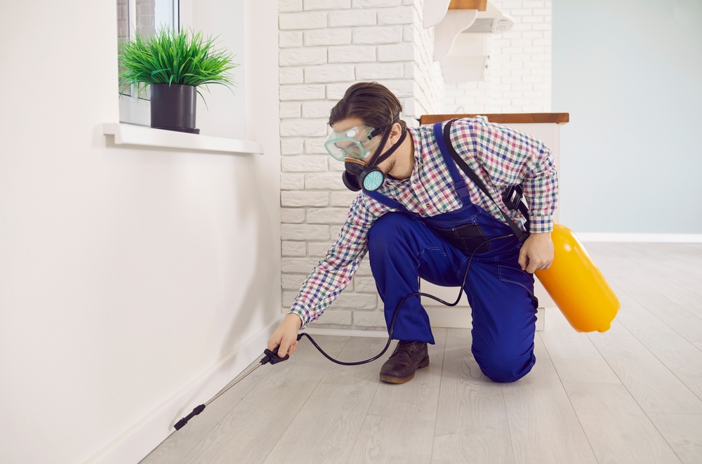 What Does an Ant Exterminator Do