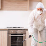 What to Expect During a Professional Pest Inspection in Aurora, IL