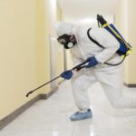 How Long After Fumigation Is It Safe to Return Home?
