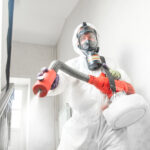 How to Choose a Reliable Termite Exterminator