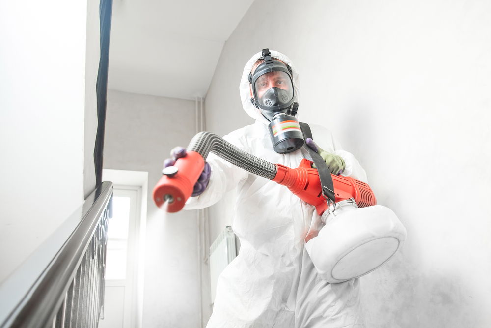 How to Choose a Reliable Termite Exterminator