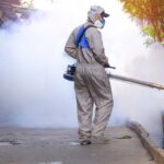 What Is Fumigation Services? A Complete Guide for Homeowners