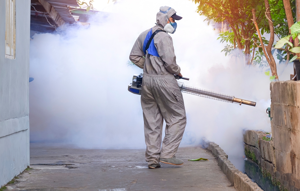 What Is Fumigation Services? A Complete Guide for Homeowners