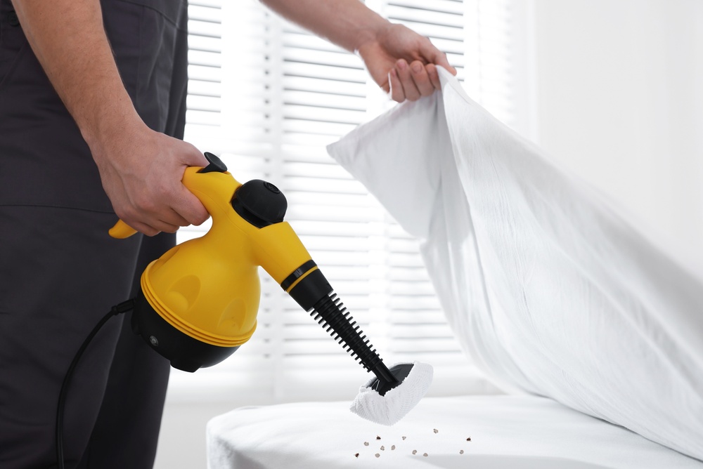 What Makes a Bed Bug Professional Treatment Truly Effective?