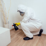 How Mouse Pest Control Protects Your Home from Disease