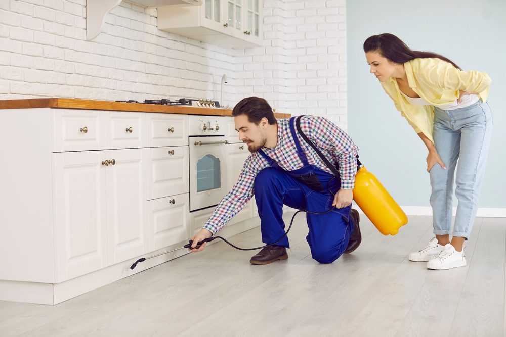 How to Get Rid of Mice in Your House Fast