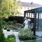 What Is Eco Friendly Pest Control