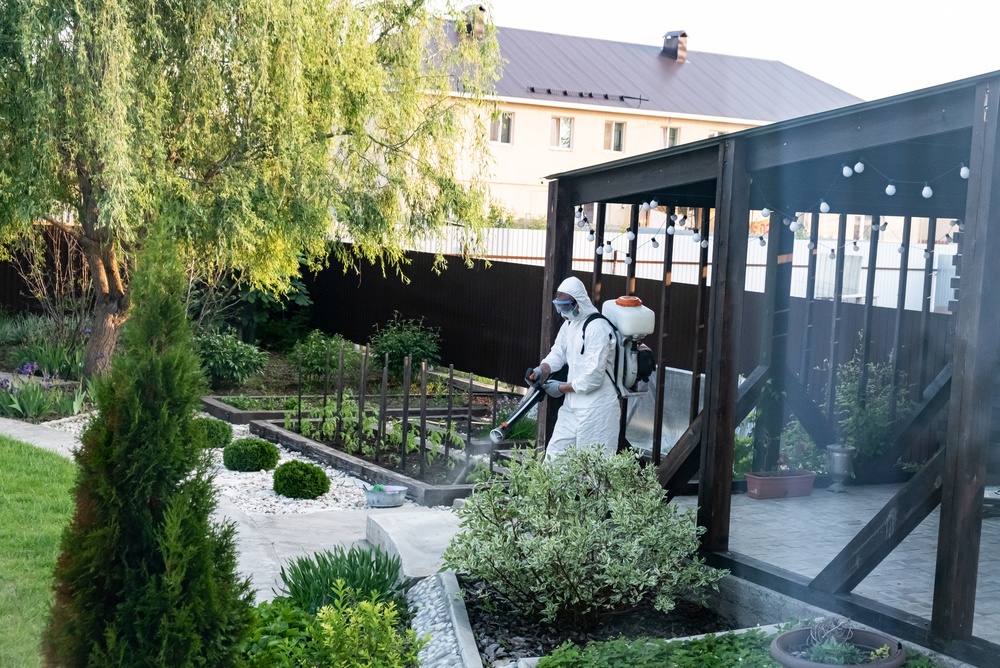 What Is Eco Friendly Pest Control