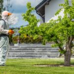 What Is Green Pest Control