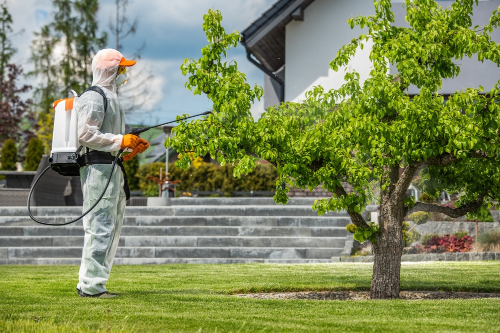 What Is Green Pest Control