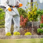 What Is Included in Lawn Pest Control Services
