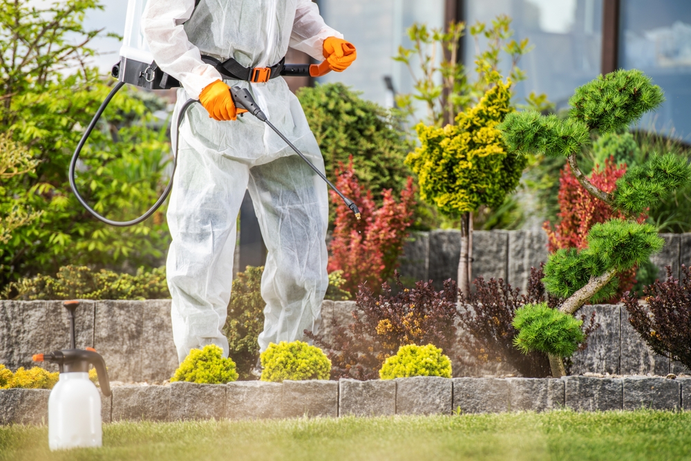What Is Included in Lawn Pest Control Services