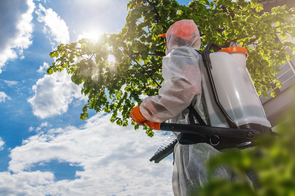 What Is Organic Pest Control