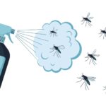 What Is a Mosquito Pest Control Specialist?