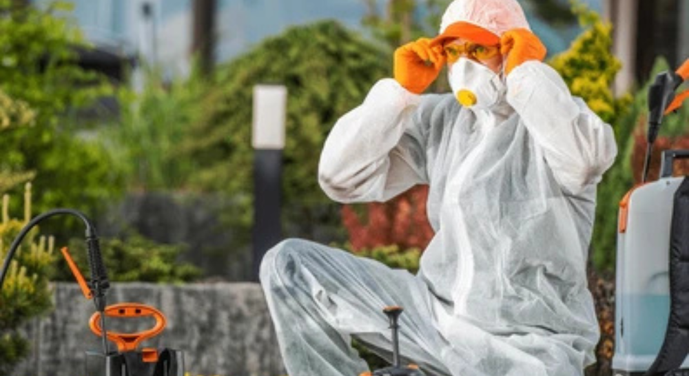 What’s the Best Natural Pest Control?