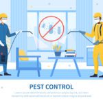 how to get rid of moths