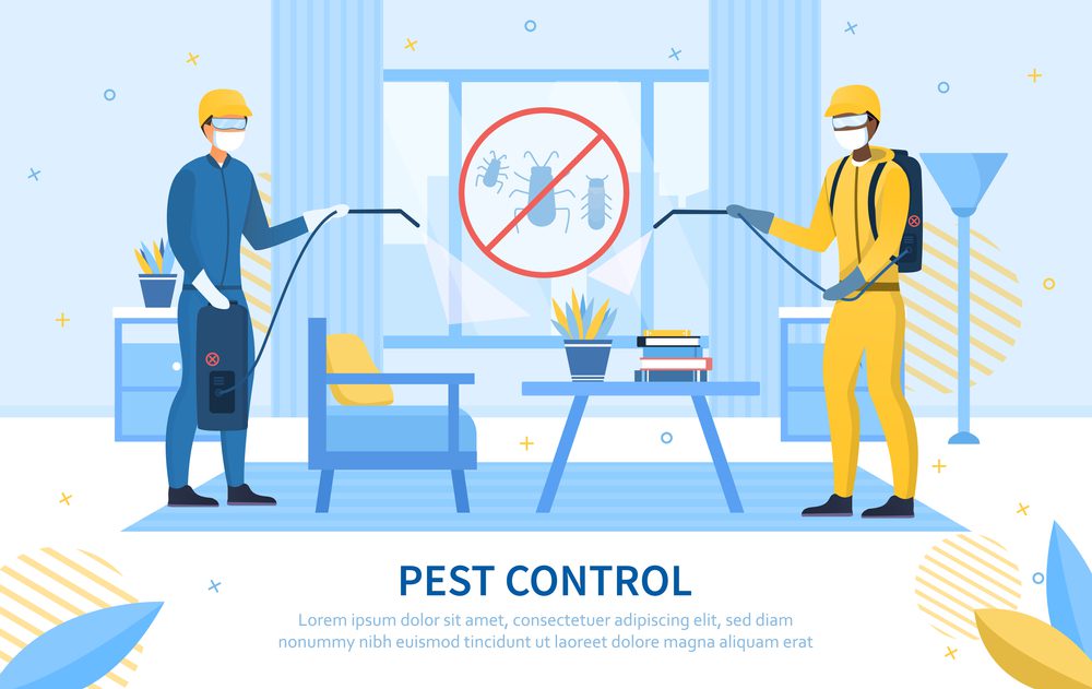 how to get rid of moths