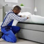 How to Identify and Eliminate Black Bed Bugs?