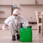 What Causes an Ant Infestation?