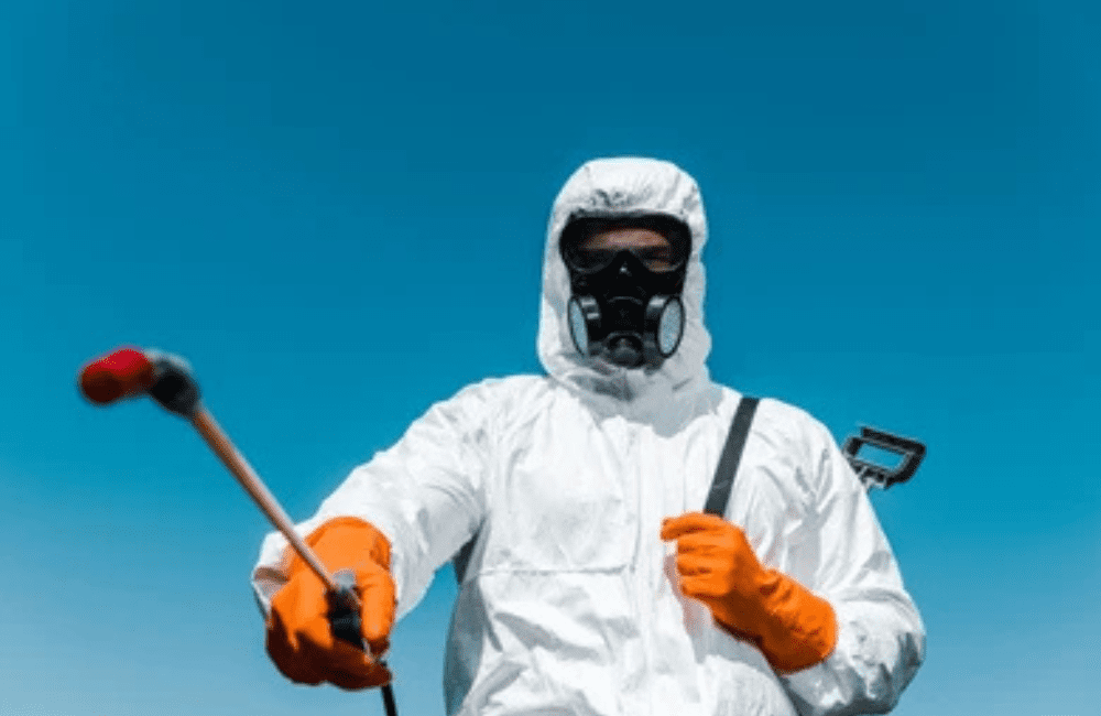 What Is a Good Fly Repellent