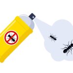 What Is a Red Ant