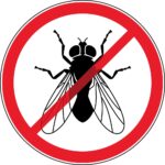 What Is the Best Thing to Get Rid of Black Flies