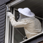 How to Prevent Baby Wolf Spider Infestations at Home