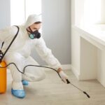 How Do You Know If You Have a Larder Beetle Infestation
