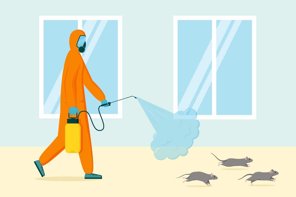 How to Get Rid of Wood Rats Around Your Home Safely