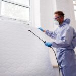 How to Treat Bed Bugs Bites at Home and When to Seek Help